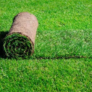 Grass Turf Roll 1M²