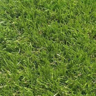 40mm Thames Artificial Grass